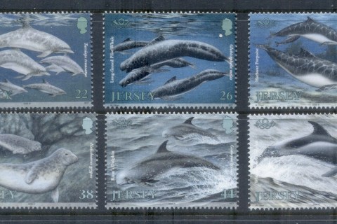 Jersey-2000-Marine-Mammals
