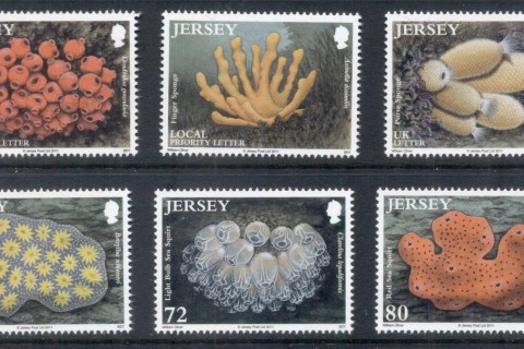 Jersey-2011-Marine-Life