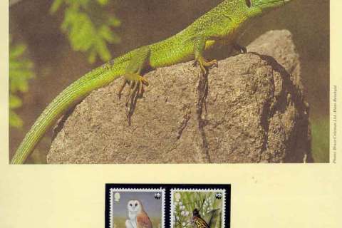 Jersey-1989 WWF Wildlife