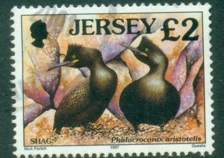 Jersey-1997-Birds-Shag-2-FU