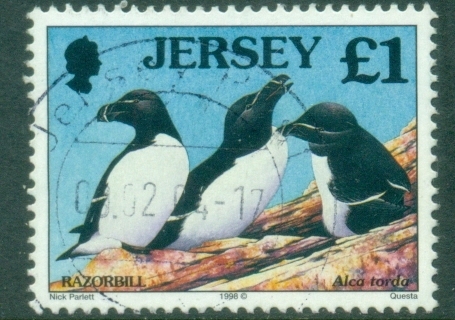 Jersey-1998-Birds-Razorbill-1-FU