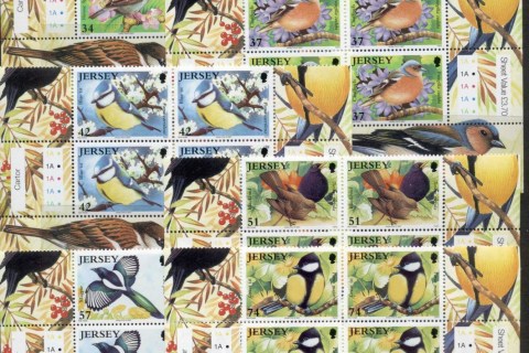 Jersey-2007-Birds-blk4-MUH