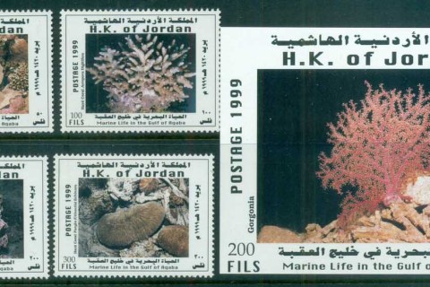 Jordan-1999-Marine-Life