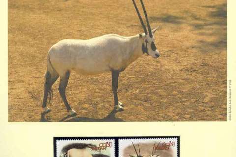Jordan-2005 WWF Arabian Oryx