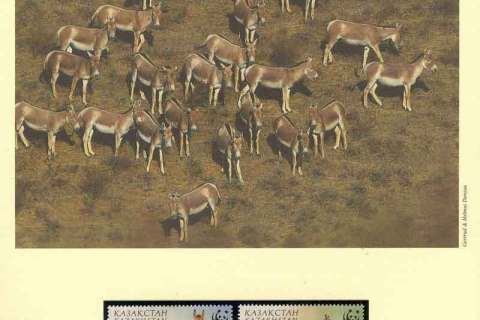 Kazakhstan-2001 WWF Kulan