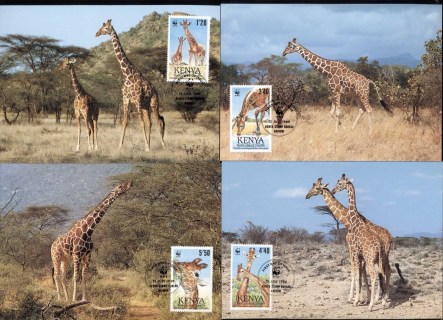 Kenya 1989 WWF Reticulated Giraffe 4xMaxicard