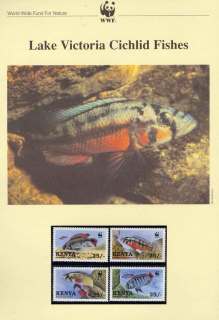 Kenya 1997 WWF Lake Victoria Cichlids