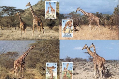 Kenya-1989 WWF Reticulated Giraffe 4xMaxicard
