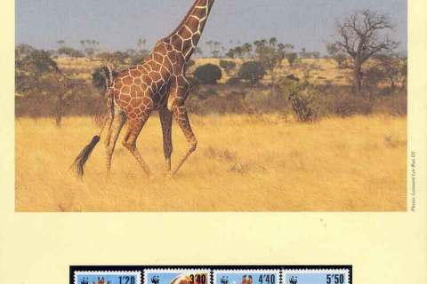 Kenya-1989 WWF Reticulated Giraffe