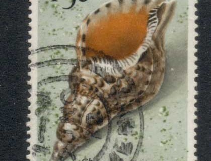 Kenya-1971-Pictorials-Shells-1-50c-FU