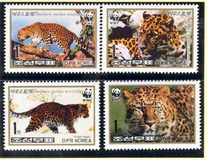 Korea-DPR-1998 WWF Amur Leopard