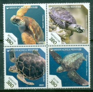 Korea-2021-Fauna-Protected-Marine-Species-Turtles-MUH