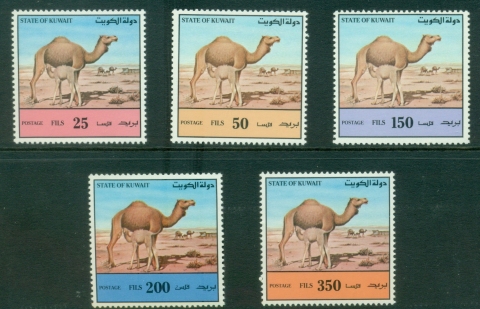 Kuwait-1992-Dromedaries-MUH