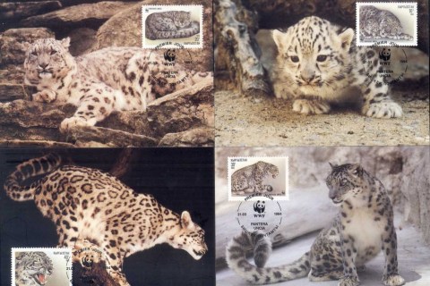 Kyrgystan-1997 WWF Marbled Polecat Maxicards