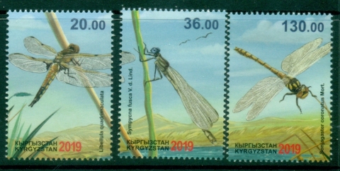 Kyrgyzstan-2019-Insects-Dragonflies-MUH