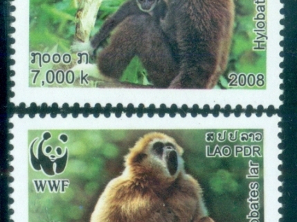 Laos-2008 WWF White-handed Gibbon