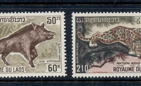 Laos-1970-Animals-MUH