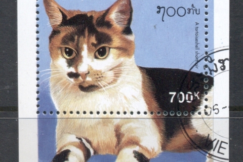 Laos-1995-cats-MS-CTO