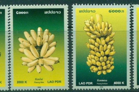 Laos-2009-Bananas-MUH-Lot24455