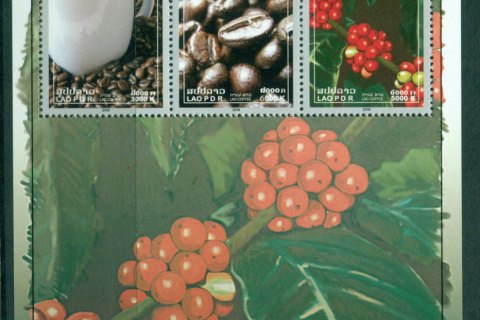 Laos-2009-Coffee-MS-MUH-Lot24471