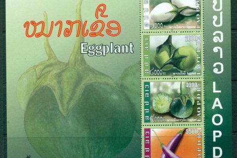 Laos-2009-Eggplants-MS-MUH-Lot24469