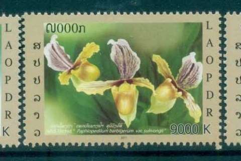 Laos-2011-Orchids