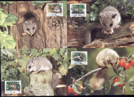 Latvia-1994 WWF Edible Dormouse Maxicards