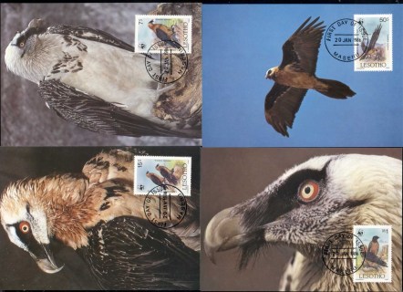 Lesotho-1986 WWF Lammergeir, Bird 4xMaxicard