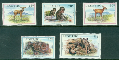 Lesotho-1984-Indigenous-Young-Animals-MUH