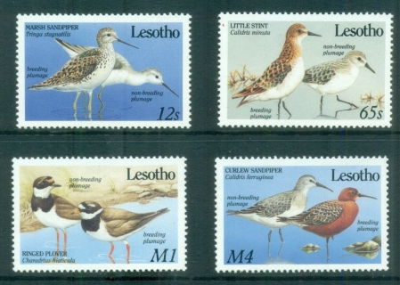 Lesotho-1989-Birds