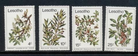 Lesotho-1979-Trees-MUH