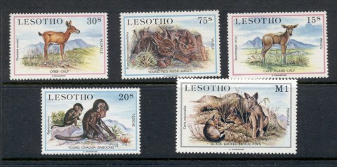 Lesotho-1984-Indigenous-Young-Animals-MUH