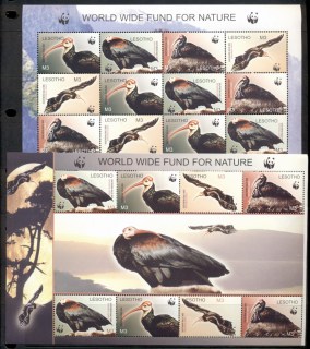 Lesotho-2004-WWF-Bald-Ibis