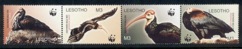 Lesotho-2004-WWF-Birds-str4-MUH