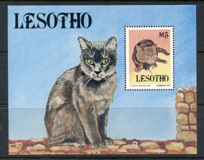 lesotho-1993-Cats-MS-MUH