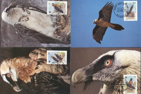 Lesotho-1986 WWF Lammergeir, Bird 4xMaxicard