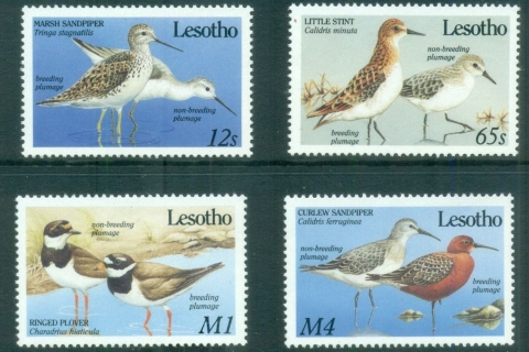 Lesotho-1989-Birds