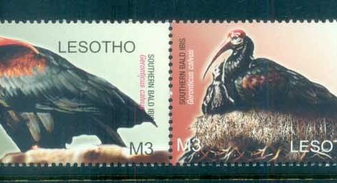 Lesotho-2004 WWF Southern Bald Ibis