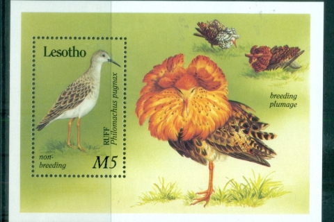 Lesotho-1989-Birds