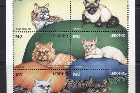 Lesotho-1998-Cats-of-the-World-MS-MUH