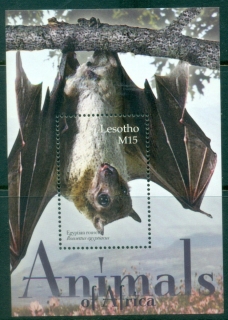 Lesotho-2004-Mammals-Egyptian-rousette-MS-MUH