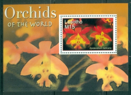 Lesotho-2007-Flowers-Orchids-MS-MUH_2