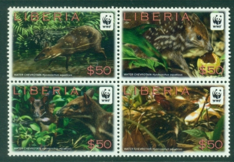Liberia-2011-WWF-Water-Chevrotain-MUH