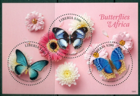 Liberia-2018-Butterflies-of-Africa-Insects-MS-MUH