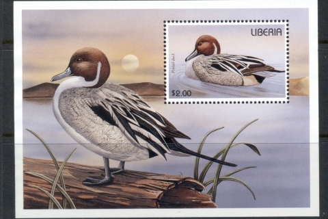 Liberia-1996-Bird