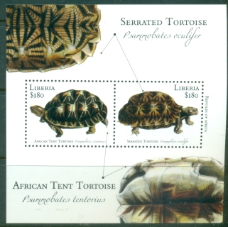 Liberia-2011-Serrated-Tortoise-MS-MUH
