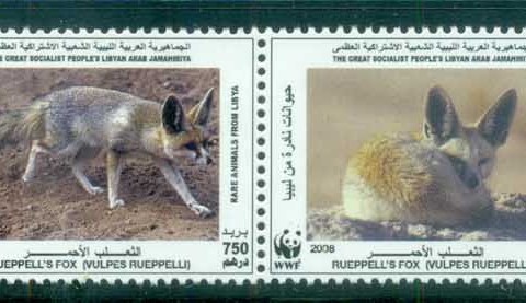 Libya-2008  WWF Ruppell's Fox