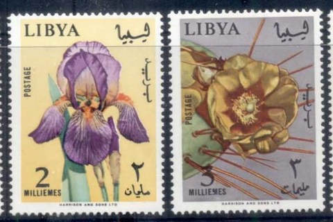 Libya-1965-Flowers-MLH