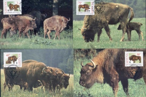 Lithuania-1996 WWF European Bison Maxicards