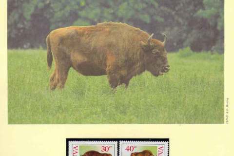 Lithuania-1996 WWF European Bison